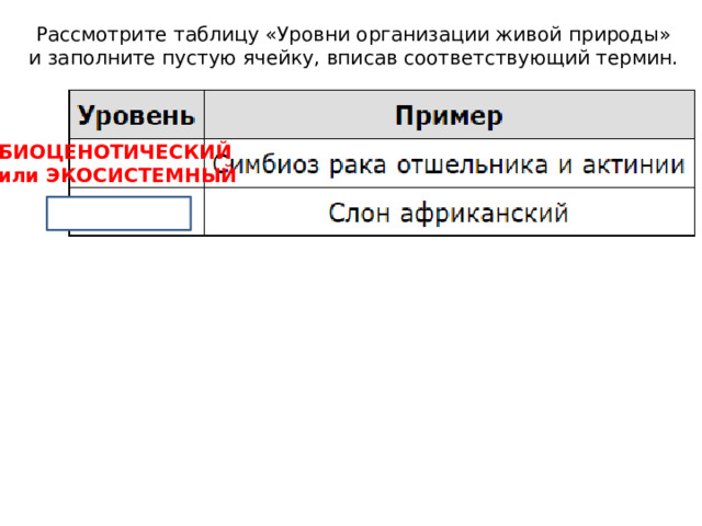 Рассмотрите таблицу «Уровни организации живой природы» и заполните пустую ячейку, вписав соответствующий термин. БИОЦЕНОТИЧЕСКИЙ  или ЭКОСИСТЕМНЫЙ 