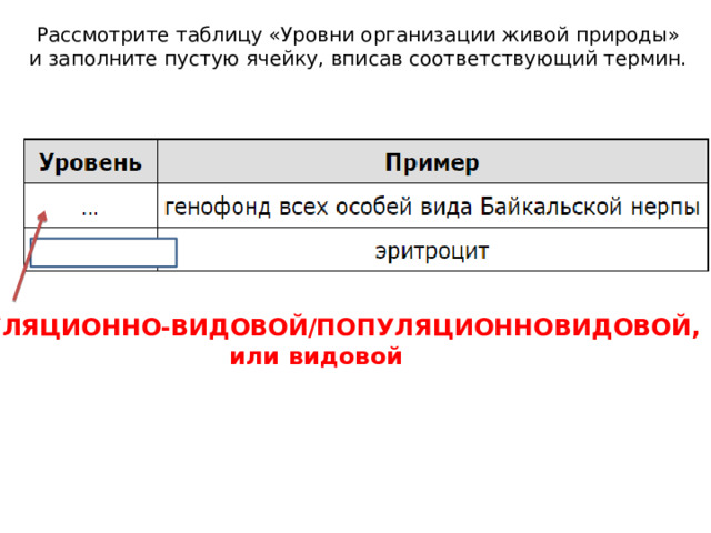 Рассмотрите таблицу «Уровни организации живой природы» и заполните пустую ячейку, вписав соответствующий термин. ПОПУЛЯЦИОННО-ВИДОВОЙ/ПОПУЛЯЦИОННОВИДОВОЙ,  или видовой 
