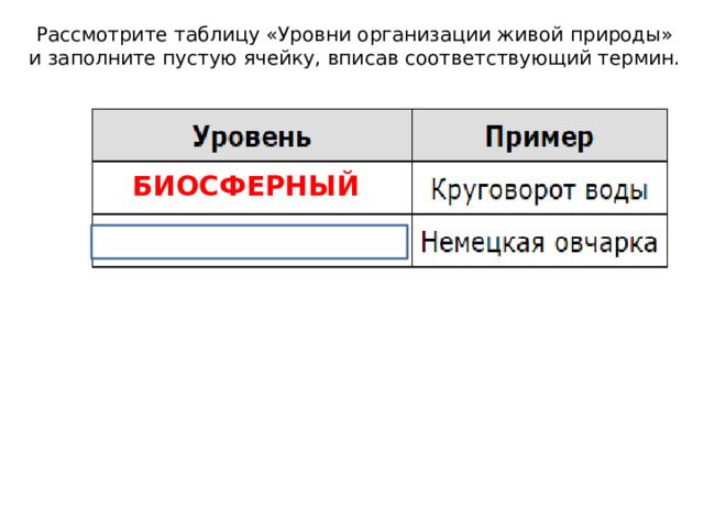 Рассмотрите таблицу «Уровни организации живой природы» и заполните пустую ячейку, вписав соответствующий термин. БИОСФЕРНЫЙ 