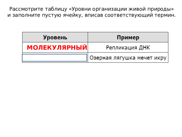 Рассмотрите таблицу «Уровни организации живой природы» и заполните пустую ячейку, вписав соответствующий термин. МОЛЕКУЛЯРНЫЙ 