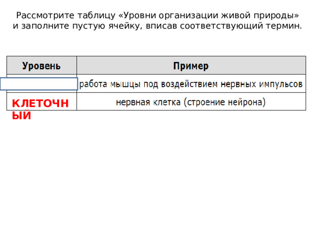 Рассмотрите таблицу «Уровни организации живой природы» и заполните пустую ячейку, вписав соответствующий термин. КЛЕТОЧНЫЙ 