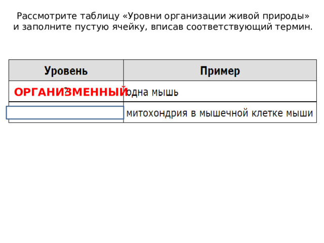 Рассмотрите таблицу «Уровни организации живой природы» и заполните пустую ячейку, вписав соответствующий термин. ОРГАНИЗМЕННЫЙ 