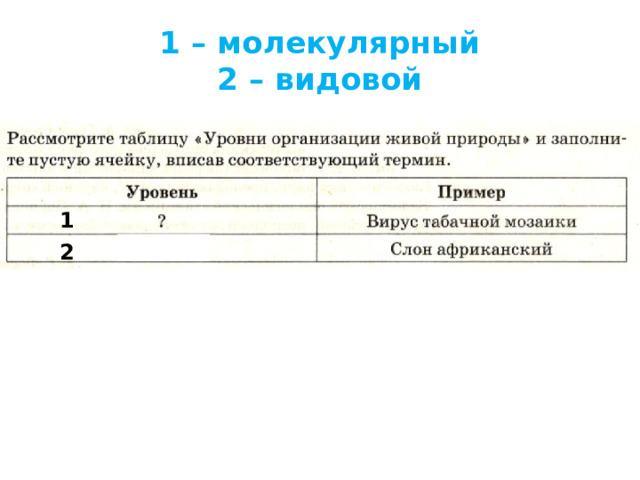 1 – молекулярный  2 – видовой 1 2 