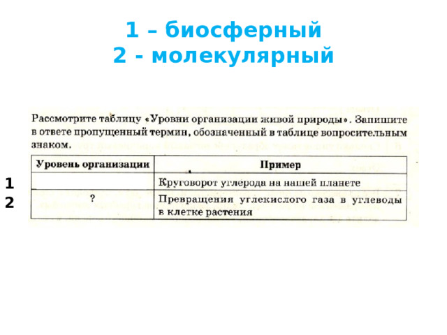 1 – биосферный  2 - молекулярный 1 2 