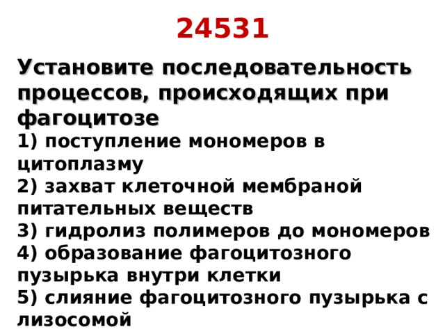 24531 Установите последовательность процессов, происходящих при фагоцитозе  1) поступление мономеров в цитоплазму  2) захват клеточной мембраной питательных веществ  3) гидролиз полимеров до мономеров  4) образование фагоцитозного пузырька внутри клетки  5) слияние фагоцитозного пузырька с лизосомой 