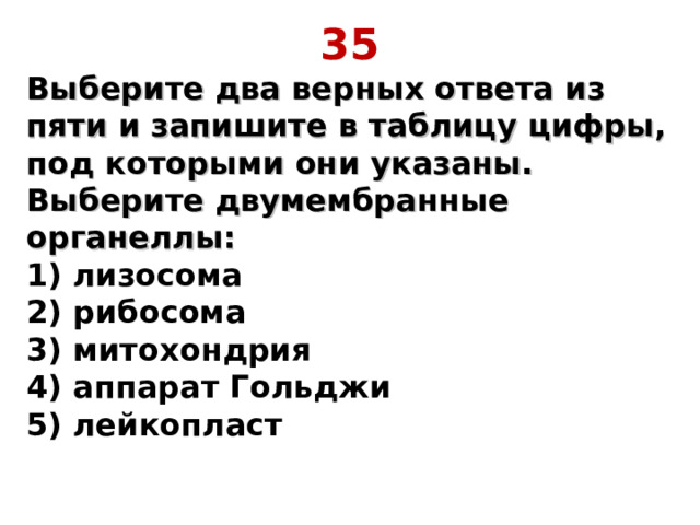 35 Выберите два верных ответа из пяти и запишите в таблицу цифры, под которыми они указаны. Выберите двумембранные органеллы:  1) лизосома  2) рибосома  3) митохондрия  4) аппарат Гольджи  5) лейкопласт 