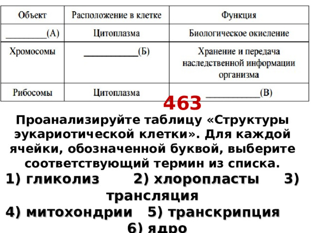 463 Проанализируйте таблицу «Структуры эукариотической клетки». Для каждой ячейки, обозначенной буквой, выберите соответствующий термин из списка.  1) гликолиз 2) хлоропласты 3) трансляция  4) митохондрии 5) транскрипция 6) ядро  7) цитоплазма 8) клеточный центр    