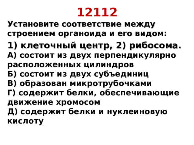 12112 Установите соответствие между строением органоида и его видом: 1) клеточный центр, 2) рибосома.  А) состоит из двух перпендикулярно расположенных цилиндров  Б) состоит из двух субъединиц  В) образован микротрубочками  Г) содержит белки, обеспечивающие движение хромосом  Д) содержит белки и нуклеиновую кислоту 