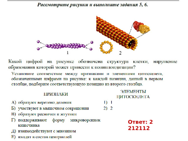 Ответ: 2 212112 