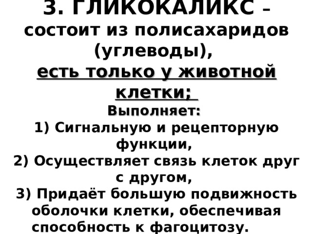 3. ГЛИКОКАЛИКС – состоит из полисахаридов (углеводы),  есть только у животной клетки;  Выполняет:  1) Сигнальную и рецепторную функции,  2) Осуществляет связь клеток друг с другом,  3) Придаёт большую подвижность оболочки клетки, обеспечивая способность к фагоцитозу.    