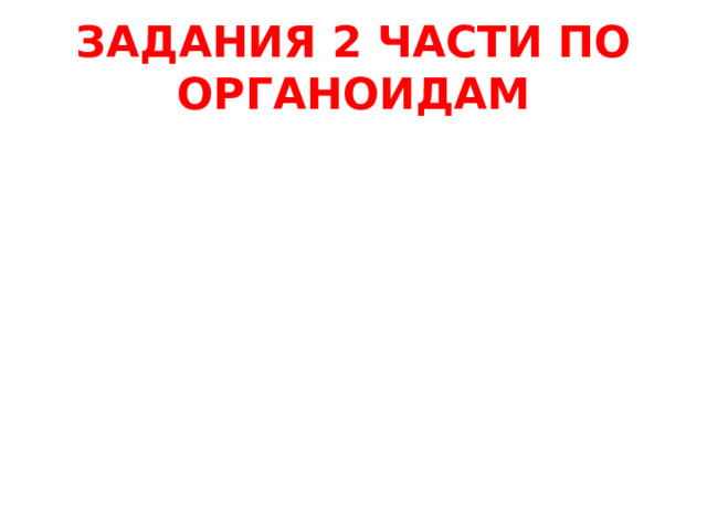 ЗАДАНИЯ 2 ЧАСТИ ПО ОРГАНОИДАМ 