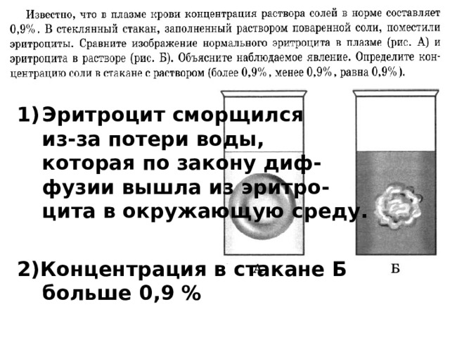 Прил демо Эритроцит сморщился  из-за потери воды,  которая по закону диф-  фузии вышла из эритро-  цита в окружающую среду.  2)Концентрация в стакане Б больше 0,9 % 