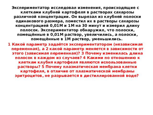 Экспериментатор исследовал изменения, происходящие с клетками клубней картофеля в растворах сахарозы различной концентрации. Он вырезал из клубней полоски одинакового размера, поместил их в растворы сахарозы концентрацией 0,01М и 1М на 30 минут и измерил длину полосок. Экспериментатор обнаружил, что полоски, помещённые в 0,01М раствор, увеличились, а полоски, помещённые в 1М раствор, уменьшились. 1 Какой параметр задаётся экспериментатором (независимая переменная), а 2 какой параметр меняется в зависимости от этого (зависимая переменная)? 3 Почему изменилась длина полосок в каждом из случаев? 4 Какими по отношению к клеткам клубня картофеля являются использованные растворы? 5 Почему плазматическая мембрана клетки картофеля, в отличие от плазматической мембраны эритроцитов, не разрывается в дистиллированной воде? 