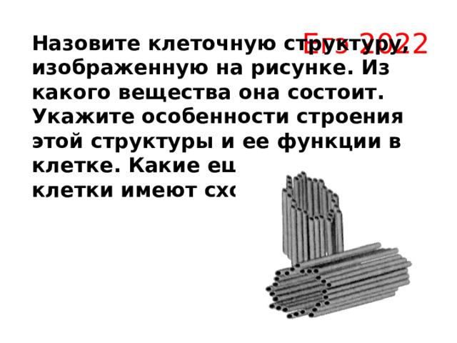 Егэ 2022 Назовите клеточную структуру, изображенную на рисунке. Из какого вещества она состоит. Укажите особенности строения этой структуры и ее функции в клетке. Какие еще структуры клетки имеют схожее строение?  