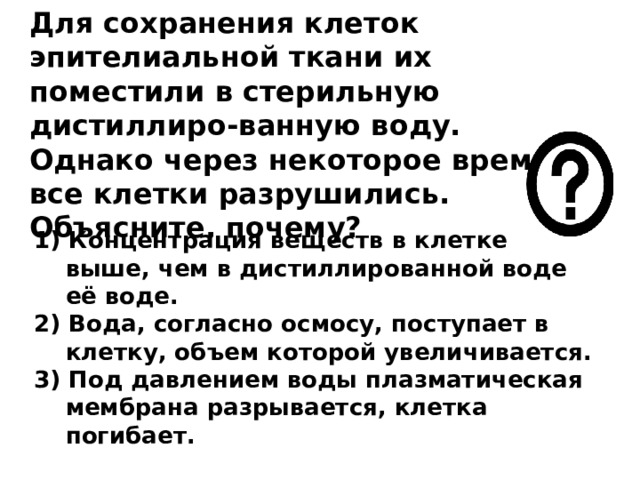 Для сохранения клеток эпителиальной ткани их поместили в стерильную дистиллиро-ванную воду. Однако через некоторое время все клетки разрушились.  Объясните, почему?   1) Концентрация веществ в клетке выше, чем в дистиллированной воде её воде. 2) Вода, согласно осмосу, поступает в клетку, объем которой увеличивается. 3) Под давлением воды плазматическая мембрана разрывается, клетка погибает. 