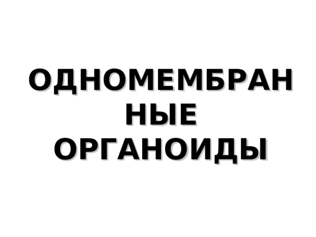 ОДНОМЕМБРАННЫЕ  ОРГАНОИДЫ 