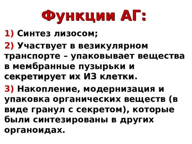 Функции АГ: 1) Синтез лизосом; 2) Участвует в везикулярном транспорте – упаковывает вещества в мембранные пузырьки и секретирует их ИЗ клетки . 3) Накопление, модернизация и упаковка органических веществ (в виде гранул с секретом), которые были синтезированы в других органоидах. 