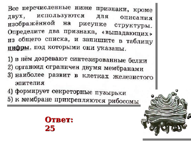 Ответ: 25 