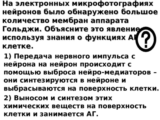 На электронных микрофотографиях нейронов было обнаружено большое количество мембран аппарата Гольджи. Объясните это явление, используя знания о функциях АГ в клетке. 1) Передача нервного импульса с нейрона на нейрон происходит с помощью выброса нейро-медиаторов – они синтезируются в нейроне и выбрасываются на поверхность клетки. 2) Выносом и синтезом этих химических веществ на поверхность клетки и занимается АГ.  