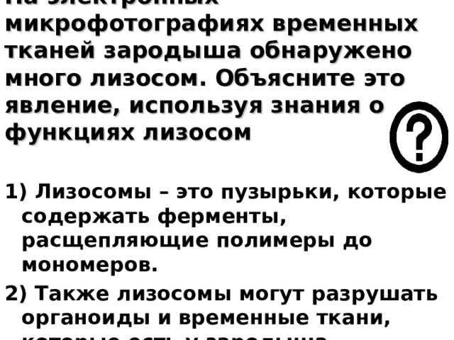 На электронных микрофотографиях временных тканей зародыша обнаружено много лизосом. Объясните это явление, используя знания о функциях лизосом 1) Лизосомы – это пузырьки, которые содержать ферменты, расщепляющие полимеры до мономеров. 2) Также лизосомы могут разрушать органоиды и временные ткани, которые есть у зародыша. 