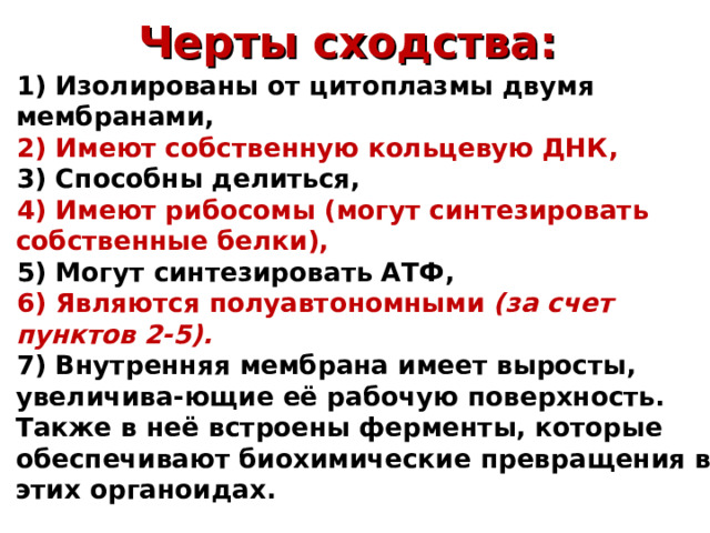 Черты сходства:   1) Изолированы от цитоплазмы двумя мембранами, 2) Имеют собственную кольцевую ДНК, 3) Способны делиться, 4) Имеют рибосомы (могут синтезировать собственные белки), 5) Могут синтезировать АТФ, 6) Являются полуавтономными (за счет пунктов 2-5). 7) Внутренняя мембрана имеет выросты, увеличива-ющие её рабочую поверхность. Также в неё встроены ферменты, которые обеспечивают биохимические превращения в этих органоидах.  