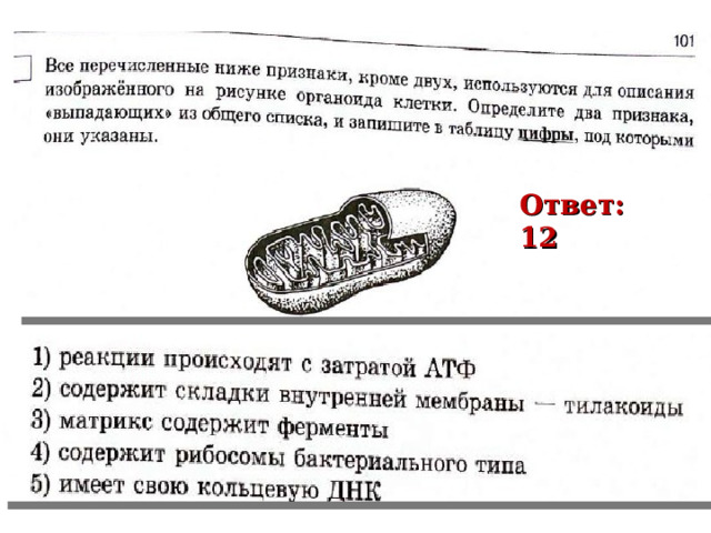 Ответ: 12 