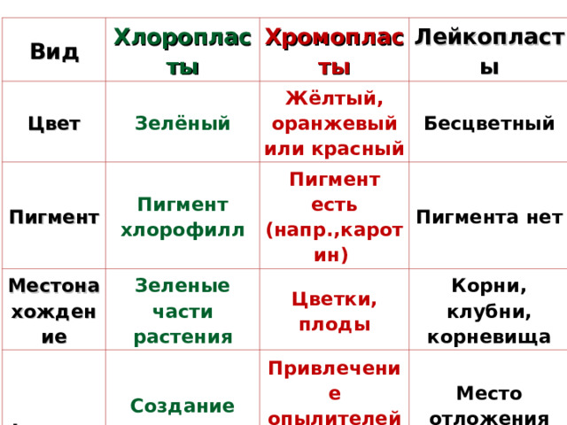 Вид Цвет Хлоропласты Зелёный Пигмент Хромопласты Пигмент хлорофилл Местонахождение Лейкопласты Жёлтый, оранжевый или красный Функция Зеленые части растения Пигмент есть (напр.,каротин) Бесцветный Пигмента нет Создание органических веществ Цветки, плоды Корни, клубни, корневища Привлечение опылителей и распространи-телй Место отложения питательных веществ 