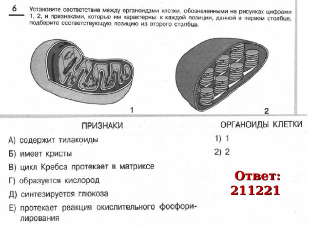 Я сдам Ответ: 211221 