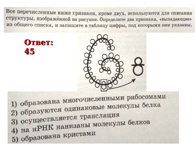 Рох 3 Ответ: 45 