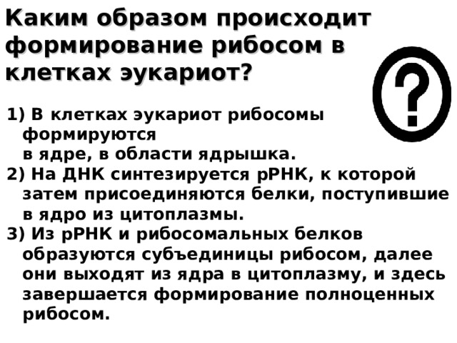 Каким образом происходит формирование рибосом в клетках эукариот? 1) В клетках эукариот рибосомы формируются  в ядре, в области ядрышка. 2) На ДНК синтезируется рРНК, к которой затем присоединяются белки, поступившие в ядро из цитоплазмы. 3) Из рРНК и рибосомальных белков образуются субъединицы рибосом, далее они выходят из ядра в цитоплазму, и здесь завершается формирование полноценных рибосом.  