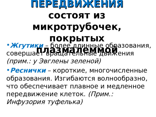 ОРГАНОИДЫ ПЕРЕДВИЖЕНИЯ состоят из микротрубочек, покрытых плазмалеммой Жгутики  – более длинные образования, совершает вращательные движения (прим.: у Эвглены зеленой) Реснички – короткие, многочисленные образования. Изгибаются волнообразно, что обеспечивает плавное и медленное передвижение клеток. (Прим.: Инфузория туфелька)  