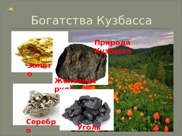 Золото Богатства Кузбасса Природа Кузбасса Железная руда Серебро Уголь 