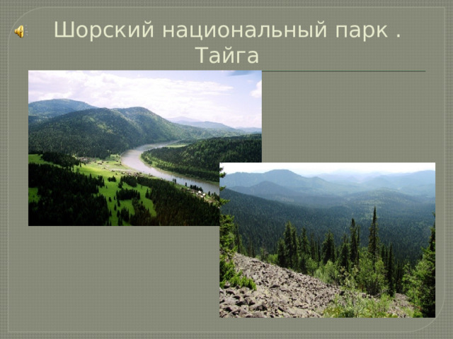 Шорский национальный парк .  Тайга 