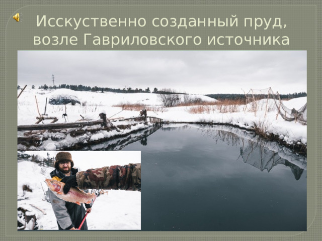 Исскуственно созданный пруд, возле Гавриловского источника 