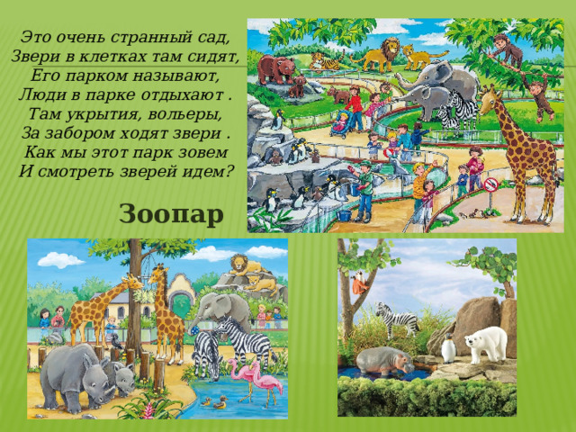 Это очень странный сад, Звери в клетках там сидят, Его парком называют, Люди в парке отдыхают . Там укрытия, вольеры, За забором ходят звери . Как мы этот парк зовем И смотреть зверей идем? Зоопарк 