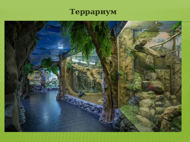 Террариум 