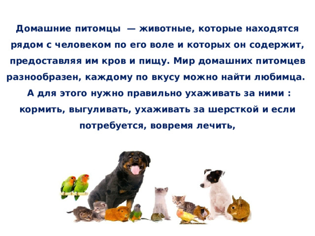 Домашние питомцы  — животные, которые находятся рядом с человеком по его воле и которых он содержит, предоставляя им кров и пищу. Мир домашних питомцев разнообразен, каждому по вкусу можно найти любимца.  А для этого нужно правильно ухаживать за ними : кормить, выгуливать, ухаживать за шерсткой и если потребуется, вовремя лечить, 