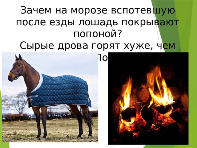 Зачем на морозе вспотевшую после езды лошадь покрывают попоной? Сырые дрова горят хуже, чем сухие? Почему? 