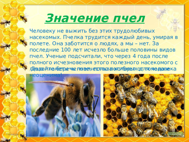 Значение пчел Человеку не выжить без этих трудолюбивых насекомых. Пчелка трудится каждый день, умирая в полете. Она заботится о людях, а мы – нет. За последние 100 лет исчезло больше половины видов пчел. Ученые подсчитали, что через 4 года после полного исчезновения этого полезного насекомого с лица планеты человечество погибнет от голода и недостатка кислорода.  Давайте беречь пчел, польза которых для человека неоценима!  