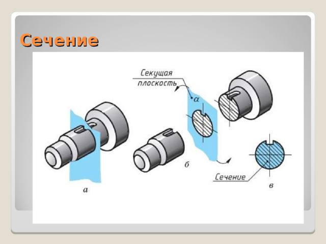 Сечение 