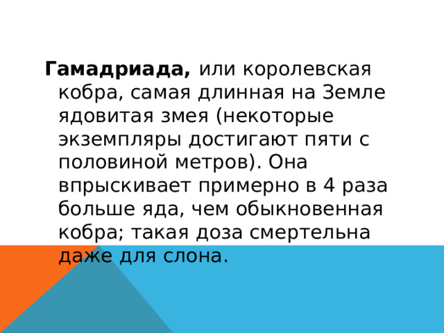 Гамадриада, или королевская кобра, самая длинная на Земле ядовитая змея (некоторые экземпляры достигают пяти с половиной метров). Она впрыскивает примерно в 4 раза больше яда, чем обыкновенная кобра; такая доза смертельна даже для слона. 