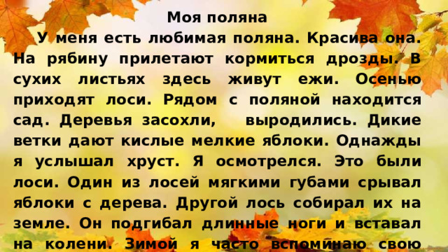 Моя поляна   У меня есть любимая поляна. Красива она. На рябину прилетают кормиться дрозды. В сухих листьях здесь живут ежи. Осенью приходят лоси. Рядом с поляной находится сад. Деревья засохли, выродились. Дикие ветки дают кислые мелкие яблоки. Однажды я услышал хруст. Я осмотрелся. Это были лоси. Один из лосей мягкими губами срывал яблоки с дерева. Другой лось собирал их на земле. Он подгибал длинные ноги и вставал на колени. Зимой я часто вспоминаю свою поляну и лосей, жующих кислые яблоки. 