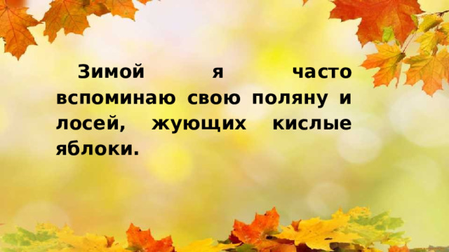 Зимой я часто вспоминаю свою поляну и лосей, жующих кислые яблоки.  