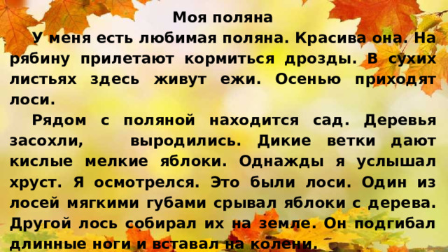 Моя поляна   У меня есть любимая поляна. Красива она. На рябину прилетают кормиться дрозды. В сухих листьях здесь живут ежи. Осенью приходят лоси. Рядом с поляной находится сад. Деревья засохли, выродились. Дикие ветки дают кислые мелкие яблоки. Однажды я услышал хруст. Я осмотрелся. Это были лоси. Один из лосей мягкими губами срывал яблоки с дерева. Другой лось собирал их на земле. Он подгибал длинные ноги и вставал на колени. Зимой я часто вспоминаю свою поляну и лосей, жующих кислые яблоки. 