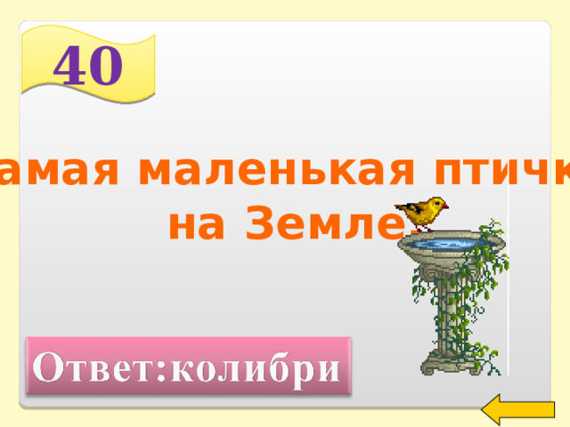 40 Самая маленькая птичка  на Земле. Welcome to Power Jeopardy   © Don Link, Indian Creek School, 2004 You can easily customize this template to create your own Jeopardy game. Simply follow the step-by-step instructions that appear on Slides 1-3. 2 