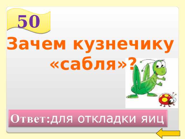 50 Зачем кузнечику «сабля»?  Welcome to Power Jeopardy   © Don Link, Indian Creek School, 2004 You can easily customize this template to create your own Jeopardy game. Simply follow the step-by-step instructions that appear on Slides 1-3. 2 