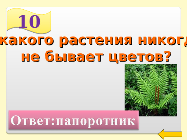 10 У какого растения никогда не бывает цветов? Welcome to Power Jeopardy   © Don Link, Indian Creek School, 2004 You can easily customize this template to create your own Jeopardy game. Simply follow the step-by-step instructions that appear on Slides 1-3. 2 