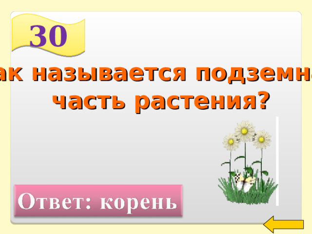30 Как называется подземная  часть растения? Welcome to Power Jeopardy   © Don Link, Indian Creek School, 2004 You can easily customize this template to create your own Jeopardy game. Simply follow the step-by-step instructions that appear on Slides 1-3. 2 