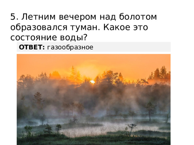 5. Летним вечером над болотом образовался туман. Какое это состояние воды? ОТВЕТ: газообразное 