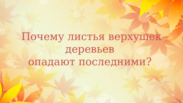 Почему листья верхушек деревьев  опадают последними? 